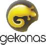 Gekonas - Įmonių Gidas