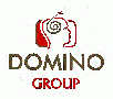 Padidinti VšĮ "DOMINO GROUP" - Įmonių Gidas