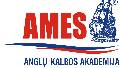 Padidinti UAB „Ames kalbų akademija“ - Įmonių Gidas